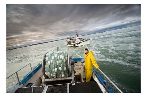 The Pebble Mine threatens the area's important fishing industry.