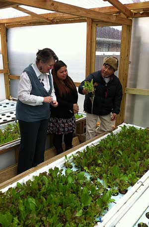 Mary Queen of Vietnam community aquaponics