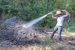 compost water