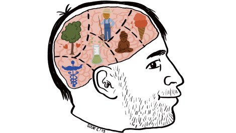 Nate's brain