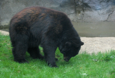 "Man, I'm bummed I'm still stuck in the zoo."