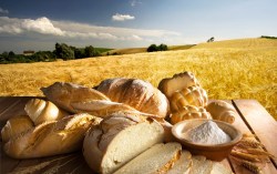 bread and wheat