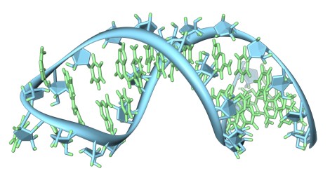 RNA