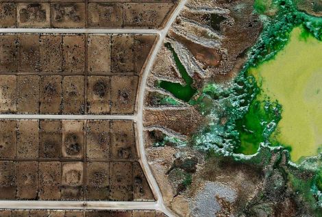 Tacosa Feedyard's waste lagoon, Texas