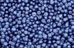 Blueberries