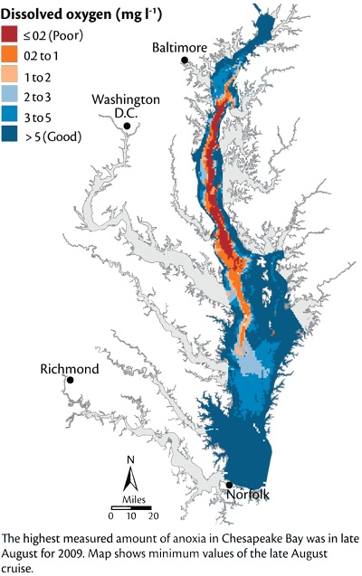 chesapeake_hypoxia copy