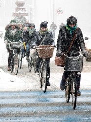 What's not to like about biking in Copenhagen?