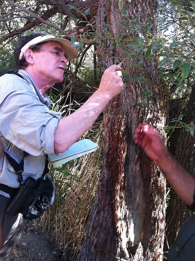 Alan Weisman in Golestan National Park, Iran.