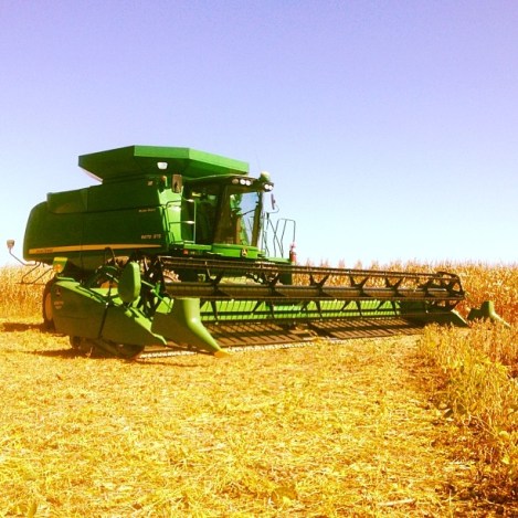 Harvest on Scott's farm