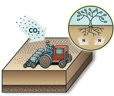 Also see: How cover crops make healthier soil.