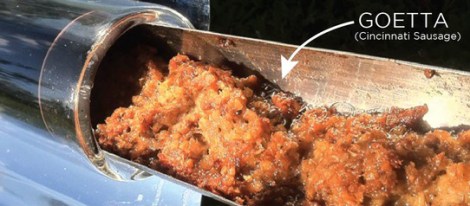 gosun-solar-oven-frying