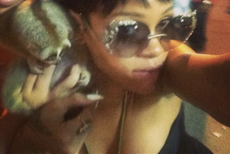 rihanna-slow-loris