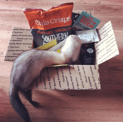 ferret-vegan-snack-box