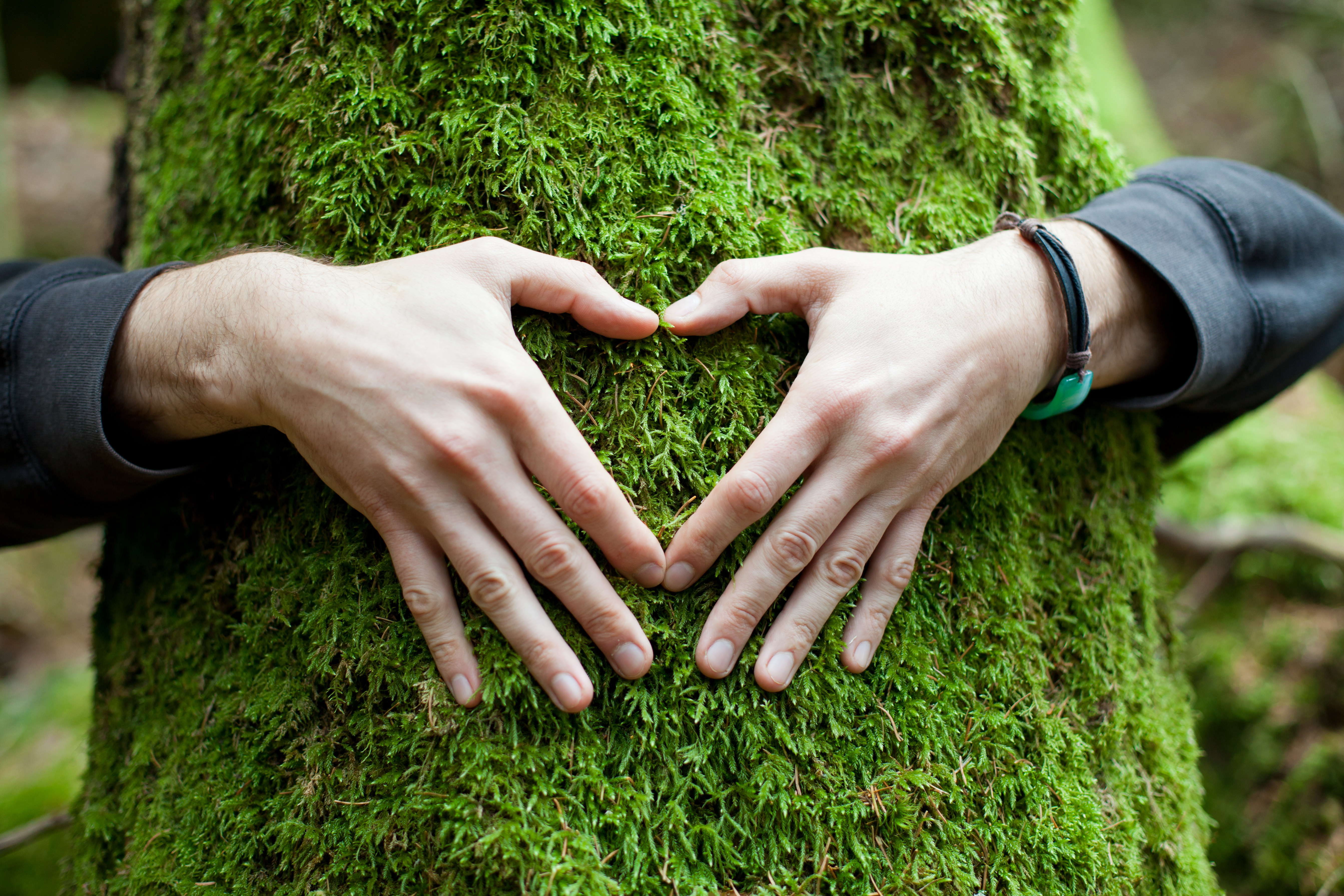 Who could ever hate this disembodied pair of nature-lovin' arms?