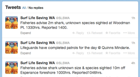 shark-tweets