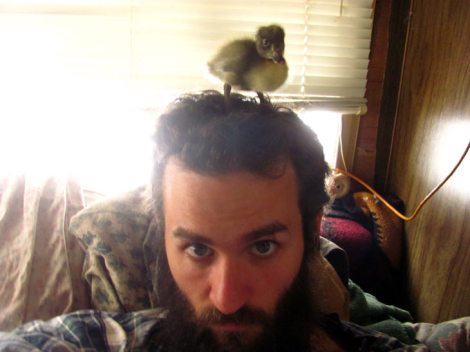 duck_beard_2