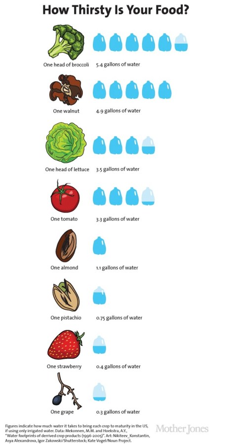 Final-gallons-per-food_2.jpg