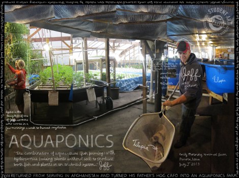 2-aquaponics_project-localize