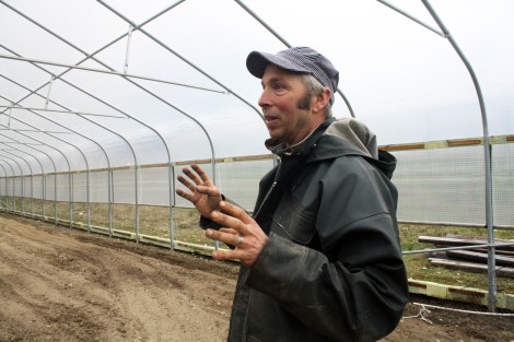 Joe Yarkin in the greenhouse where Buds of Vashon plans to grow.