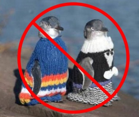 no-sweater-penguins-VERY-BAD