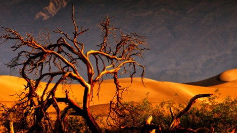 death-valley-hot-california