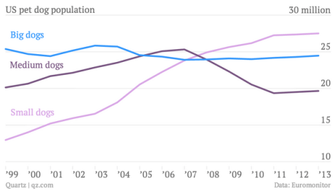 small-dog-rate