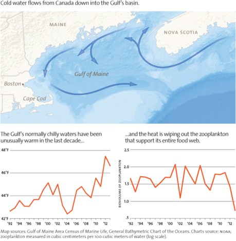 Gulf of Maine Map Charts