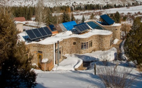 Banana Farm in the snow