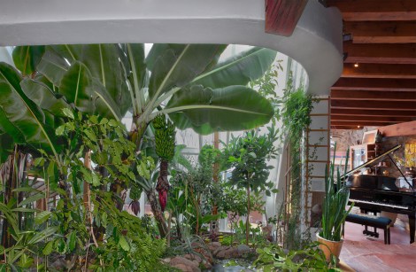 the greenhouse at the Banana Farm