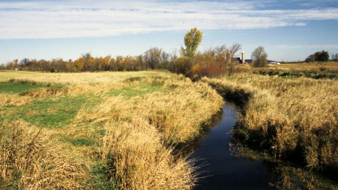 Prairie Creek