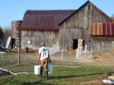 Ben Brown and his wife, Allie, run Sunny’s Farm in Cedar, Mich.