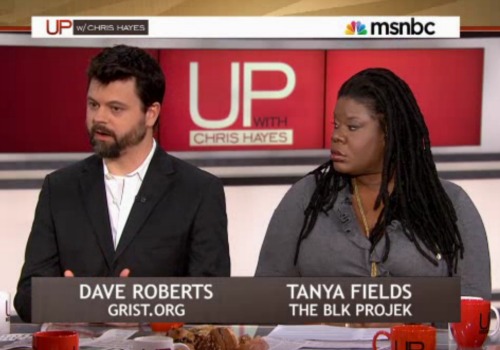 David Roberts on MSNBC