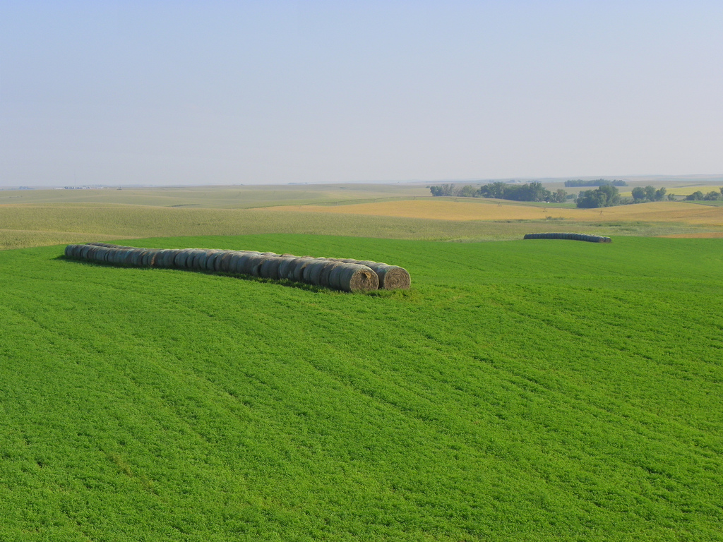 Nebraska