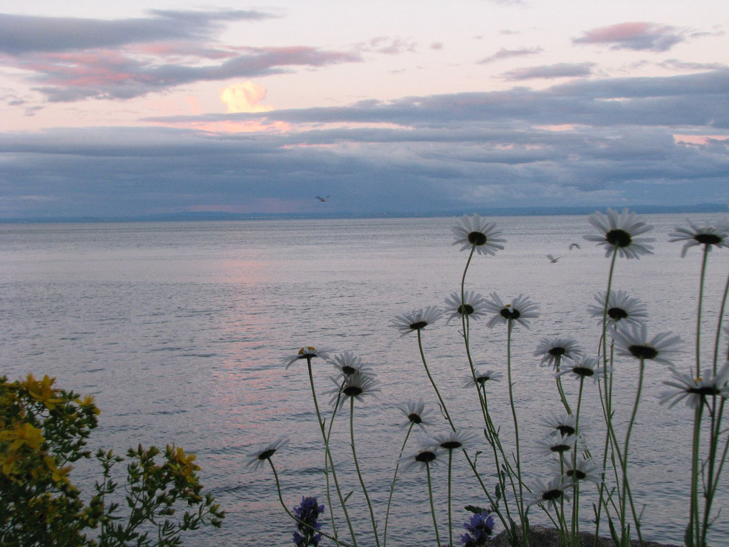 The St. Lawrence River