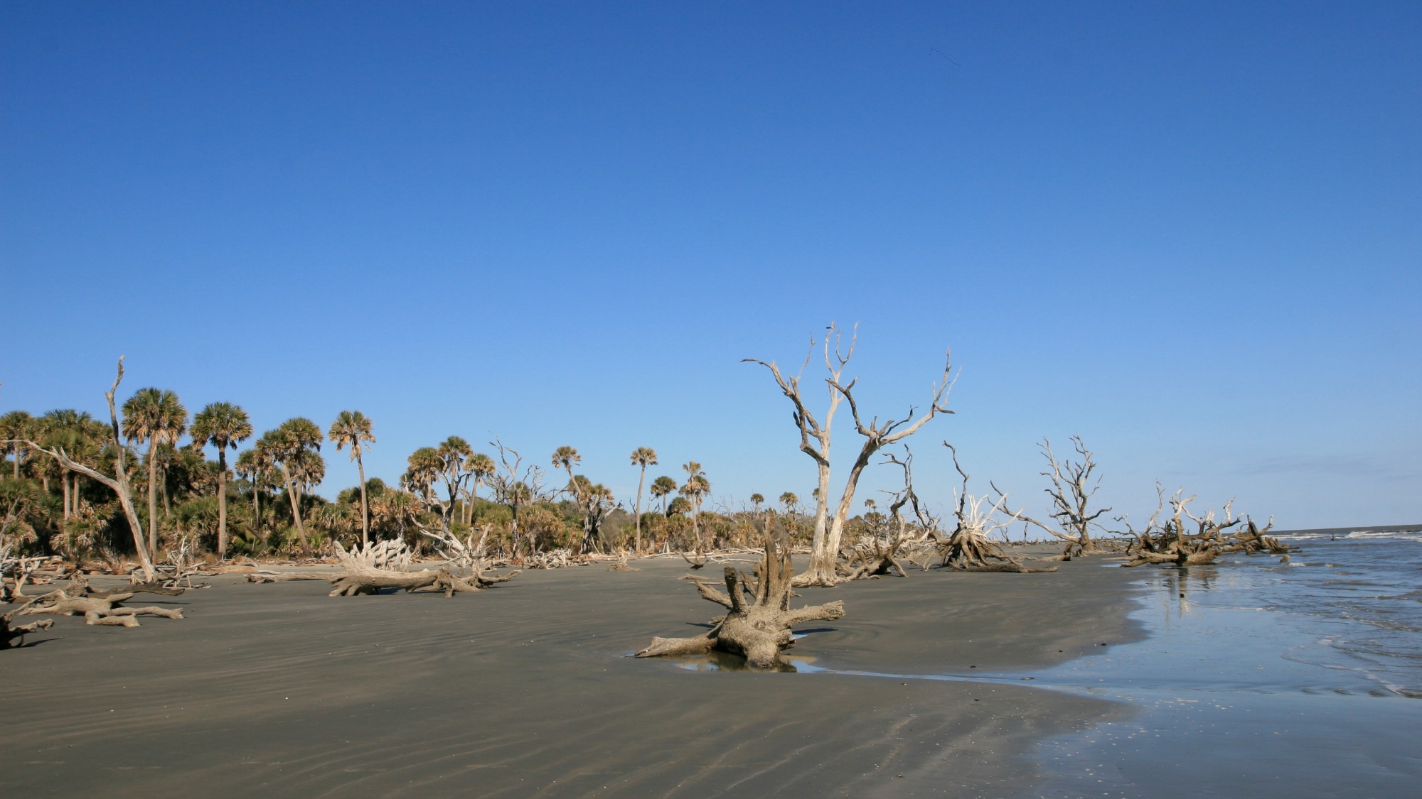 Cape Romain National Wildlife Refuge