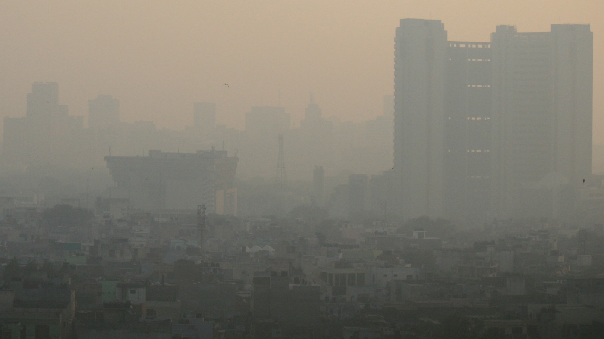 Delhi smog