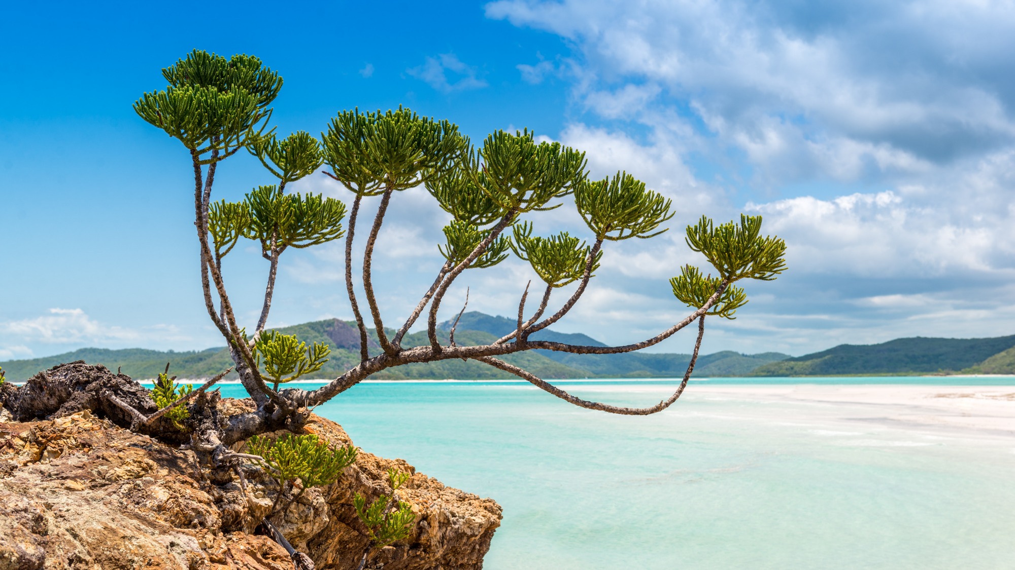 The Whitsundays, in the Great Barrier Reef