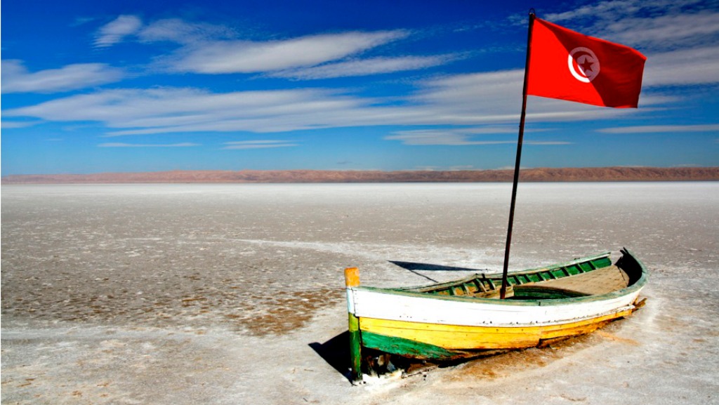 Old boat on the Chott el-Jérid Salt Lake, Tunisia