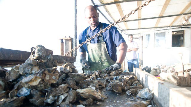 oystermen on boat