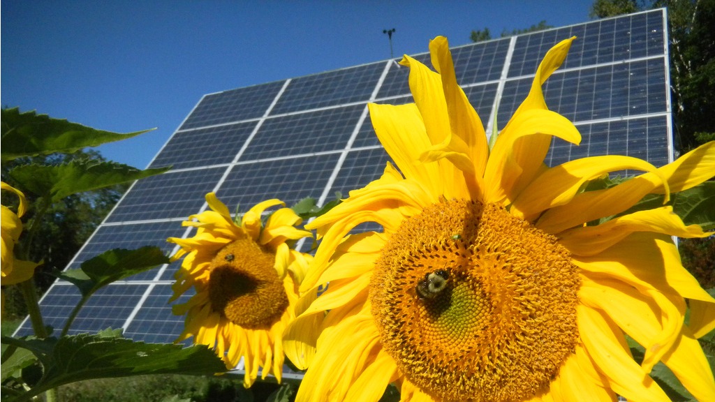 Solar panels in Vermont