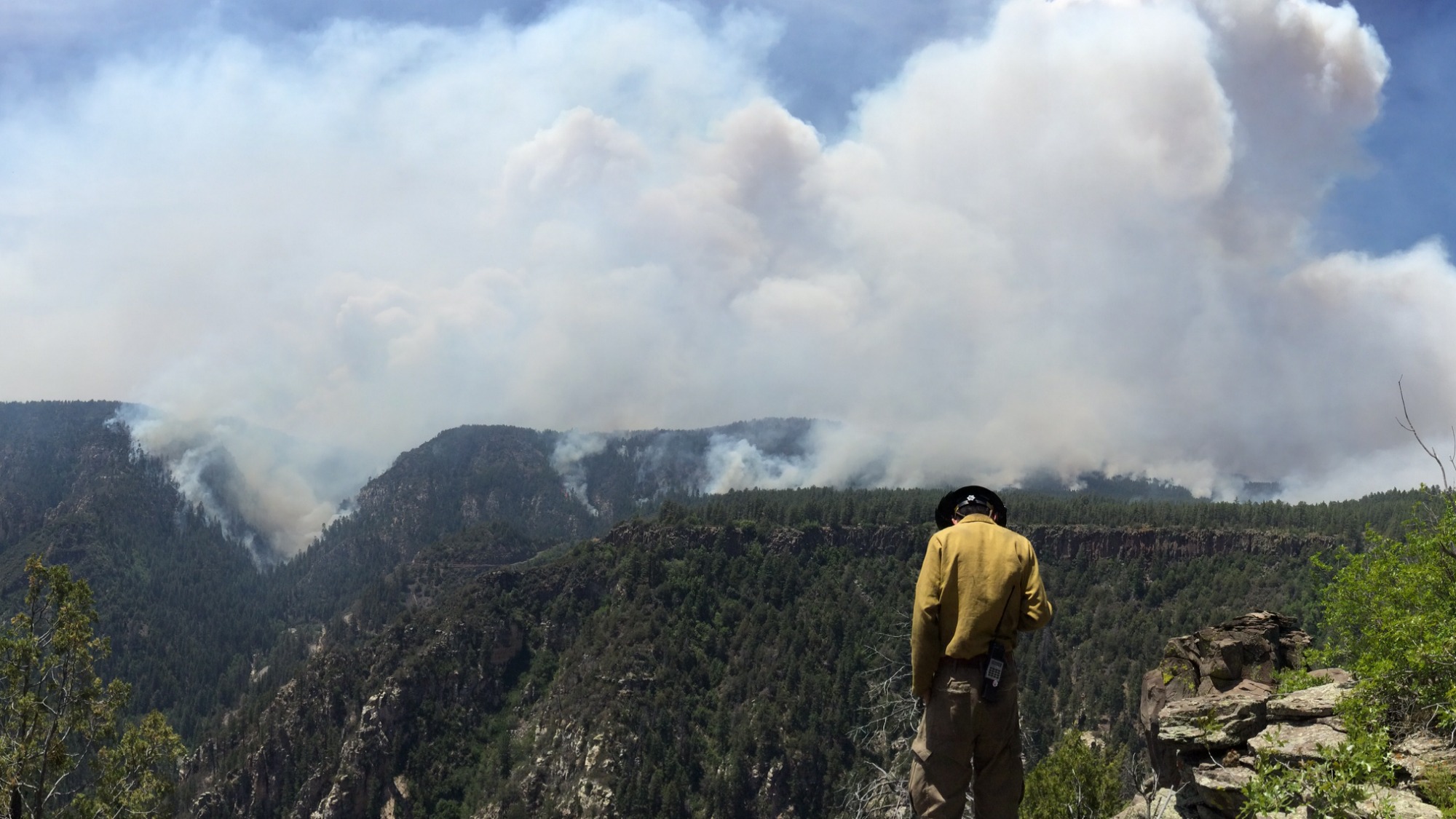 Arizona wildfires 2014