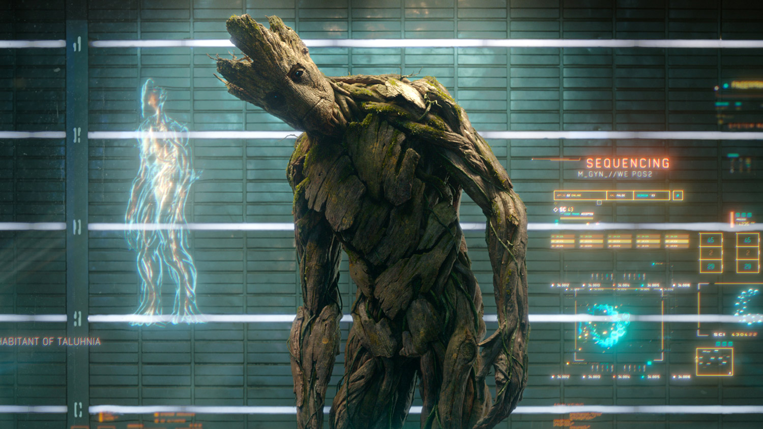 Groot