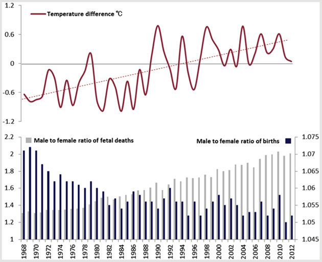 This chart shows yearly mean temperature differences in Celsius compared to the male-female ratio of "spontaneous fetal deaths" (after 12 weeks of pregnancy); and the male-female ratio of newborns from 1968 to 2012 in Japan.