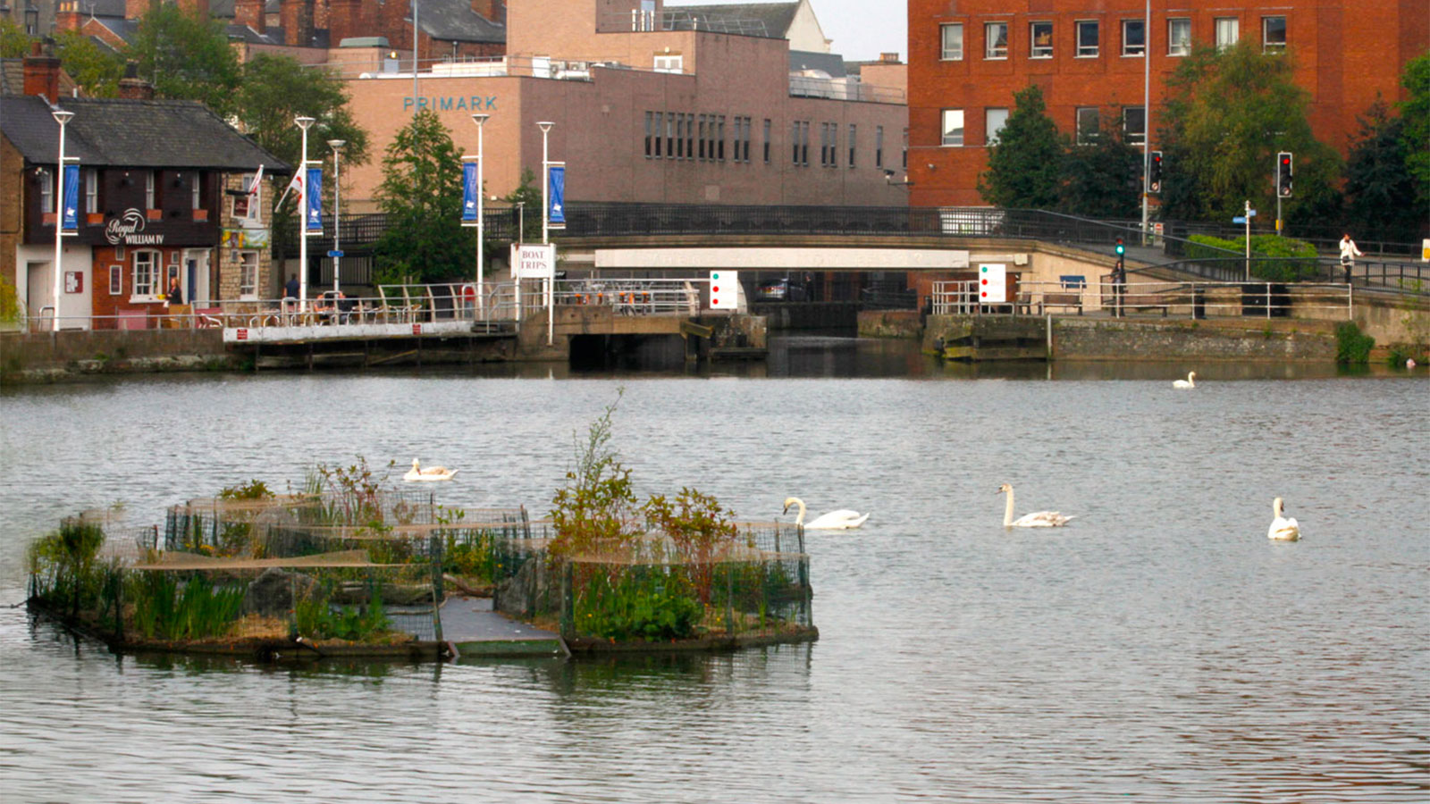 Floating island in Lincoln England