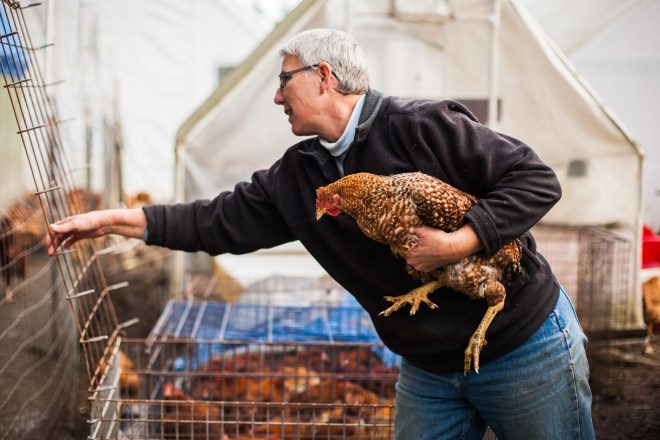 Cindy Krepky of Dog Mountain Farm