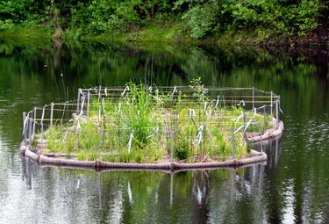 Floating island