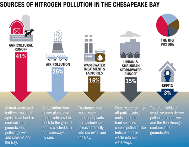 graphic-pollution-sources-nitrogen-695wide-1