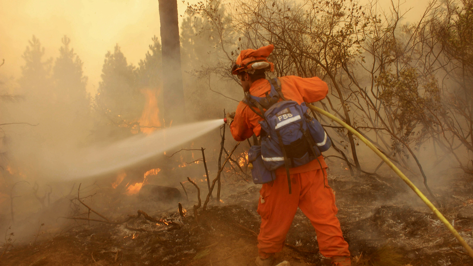 California fire inmate crewman sprays down a hotspot at the Rim Fire.