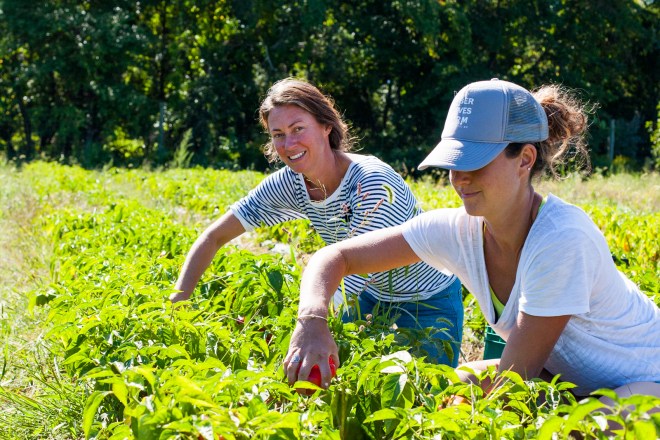 Katie and Amanda of Amber Waves Farm