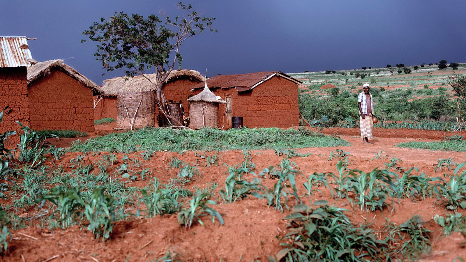 Storm clouds over a farm in Iringa, Tanzania